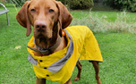 rukka Stream raincoat Regenjacke, gelb