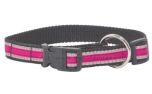 Weltmeisters Dogfood Dogsport Halsband Colorado mit Schnellverschluss, pink