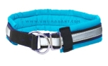 Weltmeisters Dogfood Dogsport gepolstertes Zugstopp-Halsband Soft, türkis