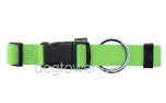 Hundehalsband Basic, Wolters, limette