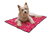 Aqua Coolkeeper Cooling Mat Hundematte, rot