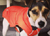 Winterjacke Ruffwear Quinzee, Sockeye Red