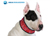 Aqua Coolkeeper Cooling Collar Hundehalsband, red western