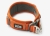 Dog Copenhagen V3 Explorer Collar Hundehalsband, orange sun