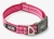 Dog Copenhagen V3 Style Collar Wild Rose