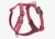 Dog Copenhagen V3 Walk Harness (Air) Wild Rose