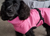 iqo Hundejacke Elegance, rosa/meliert