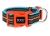 DOOG Neon Collar Beethoven aqua/orange