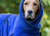 DRYUP cape Hundebademantel, edition blueberry