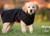 DRYUP cape Hundebademantel MINI, schwarz