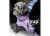 DRYUP® Cape Hundebademantel Lavendel MINI