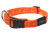 Hundehalsband Rogz, Alpinist, mango