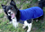 iqo Thermo-Fleece Hundepullover Comfy (inkl. Reflektoren), marineblau