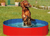 Karlie Doggy Pool, blau/rot