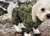 Hurtta Hundeoverall Downpour Suit, camouflage/grün