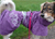 Hurtta Regenjacke Drizzle Coat, violett