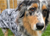 rukka Drizzle Rain Jacket, leichte Regenjacke, grau