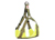 Long Paws Comfort Harness Hundegeschirr, gepolstert und reflektierend, grün