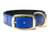 Mystique Biothane Halsband Deluxe Neopren (MESSING), beta blau