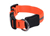 Nite Dawg LED Hundehalsband, orange