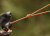 Nonstop Hundespielzeug Dog Ball mit Kordel, orange/black