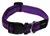 Halsband Rogz Beltz, Chrome Purple