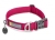 Ruffwear Front Range Collar Hibiscus Pink