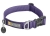 Ruffwear Front Range Collar Purple Sage