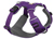 Ruffwear Hundegeschirr Front Range, tillandsia purple