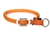 Wolters Cat & Dog Schlupfhalsband K2, neon-orange