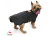 scippis DRI TEC Dog Coat Hundemantel, braun