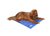 Scruffs Kühl-Hundematte Cooling, blau