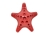 SodaPup Starfish Hundespielzeug Red