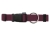 Hundehalsband Basic, Wolters, brombeer
