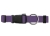 Hundehalsband Basic, Wolters, violett