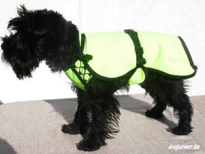 DOG Sichtbarkeitsweste, NEON reflektierende Sicherheitsweste für Hund,  Softshell-Hundemantel, wasserdichter Regenmantel, große Hundeweste,  Hundemantel - .de